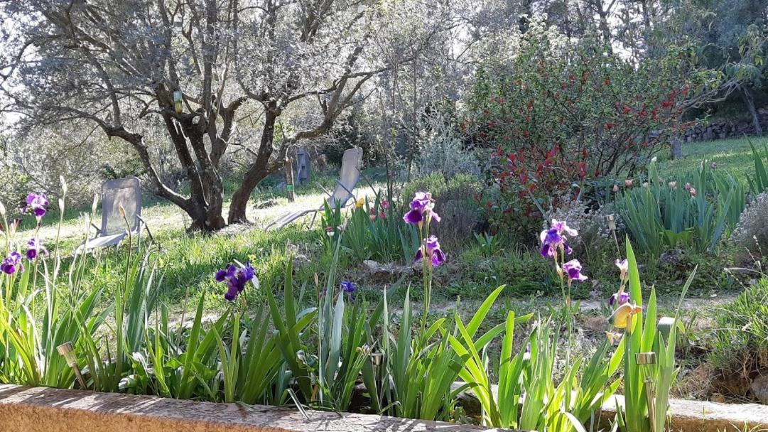 Loucabanon Var Draguignan Esterno foto