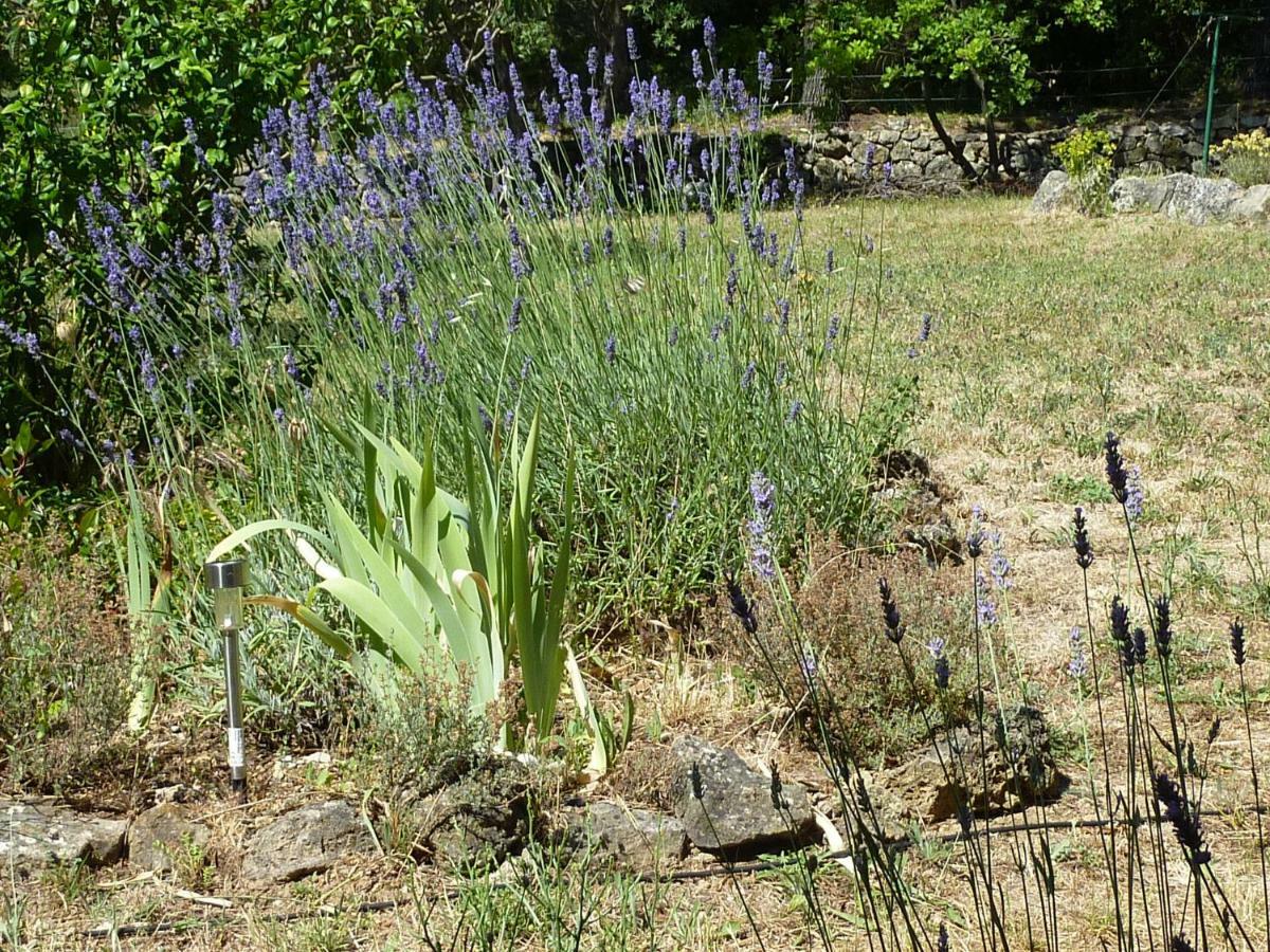 Loucabanon Var Draguignan Esterno foto